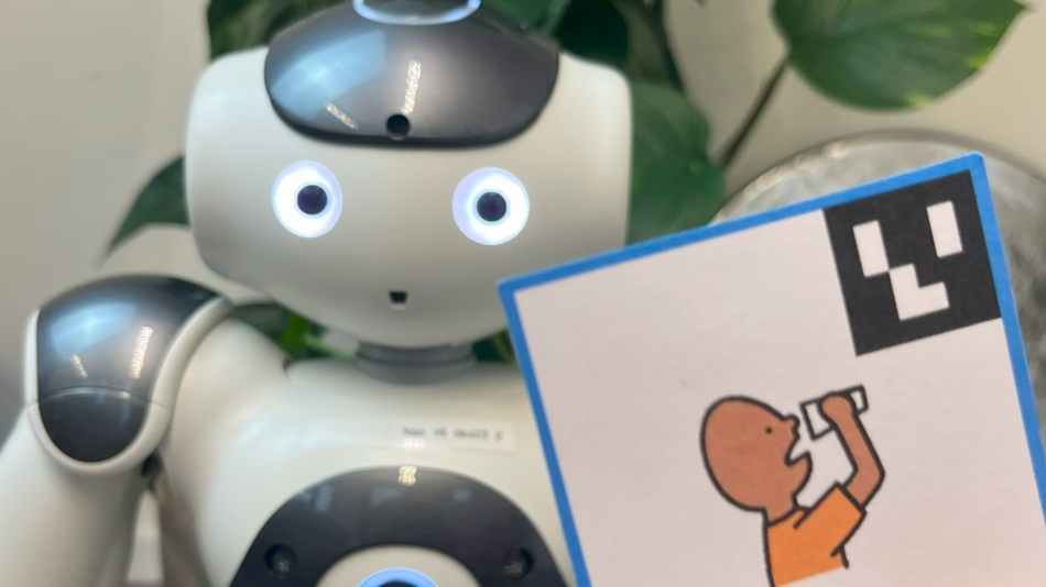 A photo of a non-verbal communication card infront of a nao robot