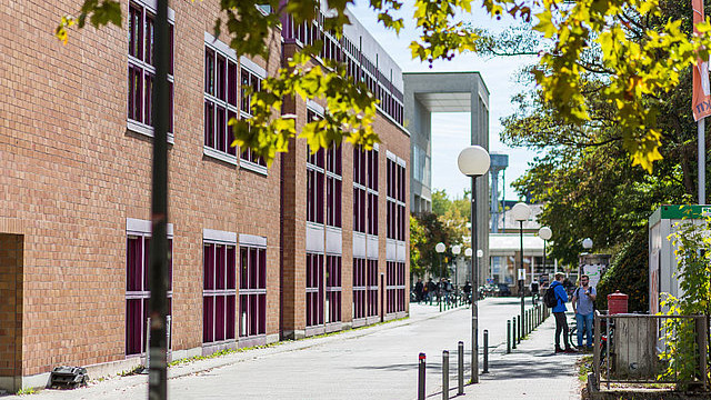 This image shows a university campus scene with a brick building on the left, featuring large windows with red frames. A tree with green and yellow leaves partially frames the top of the image.